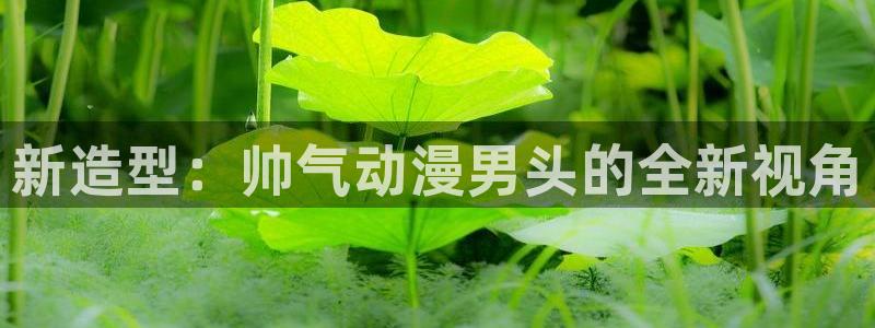 抖漫18+：新造型：帅气动漫男头的全新视角
