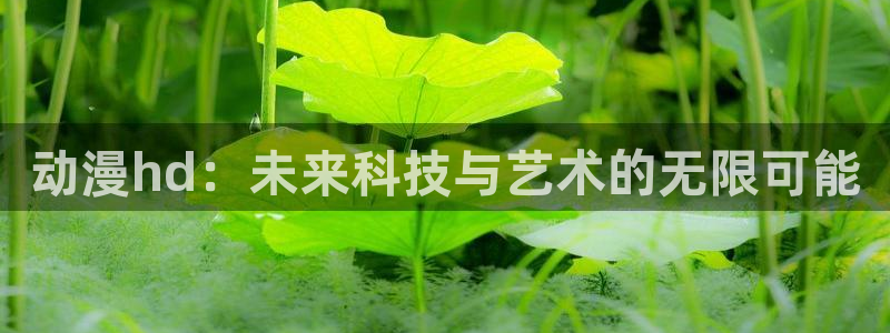 抖漫下载官网：动漫hd：未来科技与艺术的无限可能